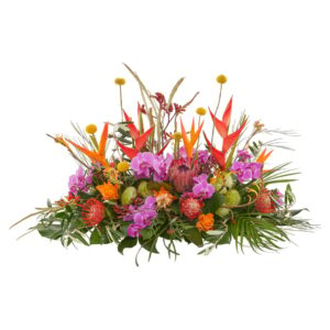 Tropische Tuin