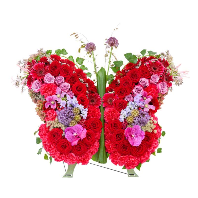 Vlinder Van De Liefde